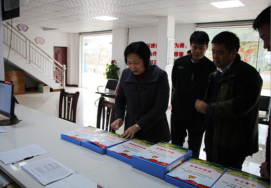 梁日端到江州区新和镇督查指导村（社区）“两委”换届选举工作