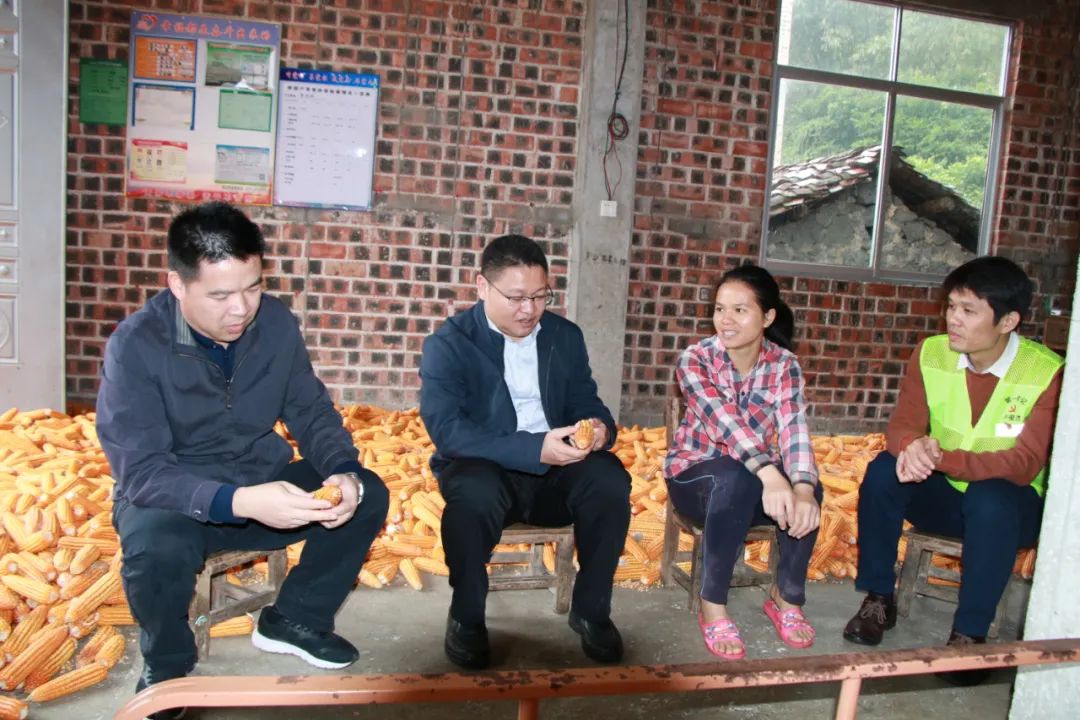 覃子骅到天等县进结镇爱乐村走访脱贫户