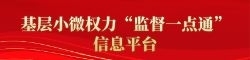 基层小微权力“监督一点通”信息平台